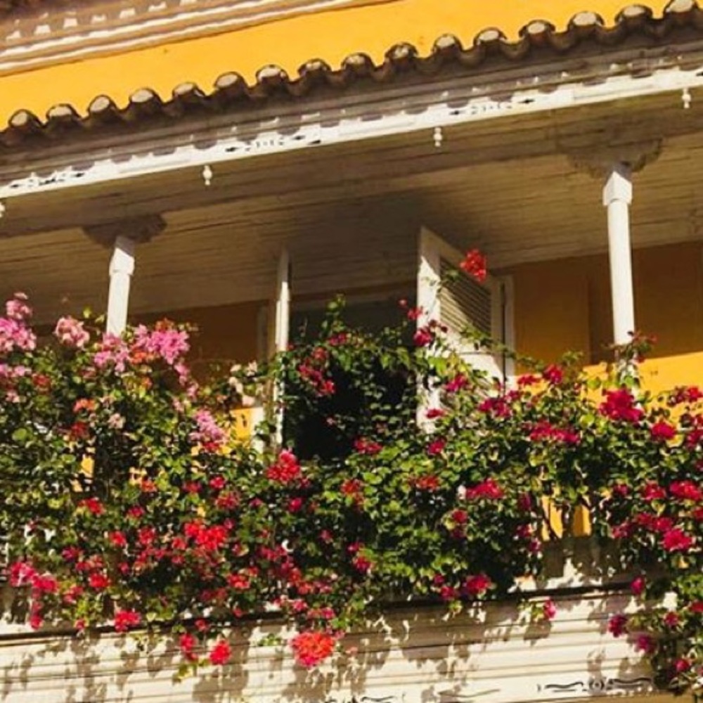 Meet your Posher, Juliet